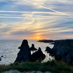 Melodic Odyssey - Augustin Guilbault