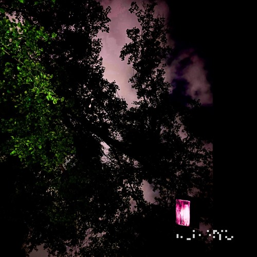 Birth in the Cavyrn [live]