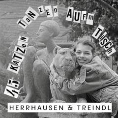 Herrhausen & Treindl LIVE @ 45 Katzen Tanzen Auf'm Tisch - KaterBlau