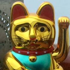 The Phantom Engineer