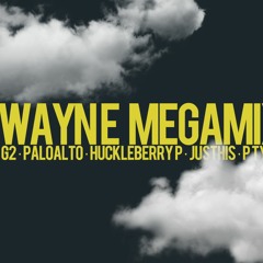 G2, 팔로알토, 허클베리피, 저스디스, 피타입 - Wayne Megamix