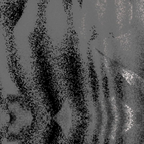 Birth in the Cavyrn [live]