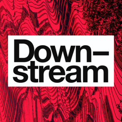 Downstream: Exposing The True Costs of AI w/ Karen Hao
