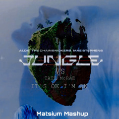 COASTR. X LEONDIS vs The Chainsmokers - IT'S OK I'M OK (Remix) vs Jungle (Matsium Mashup)