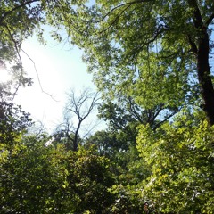 shutdown (ft. PrivateFuneral)