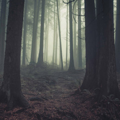 C418 - Biome Fest [stretched & reverb]