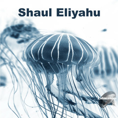 Shaul Eliyahu - Claiming Territory