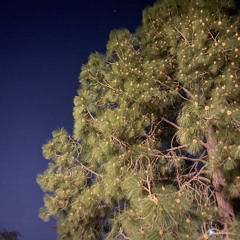 Konj Qataran Bega Han Khalid Pishukani New Song.mp3