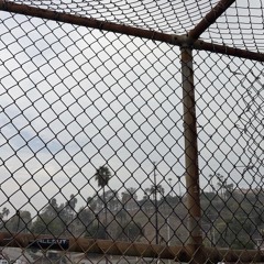 Skrillex & ISOxo - fuze (Dehm Flip)