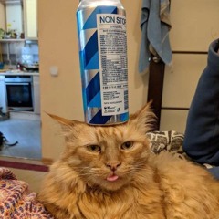 Blessed Head