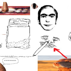 le set du junky tribe