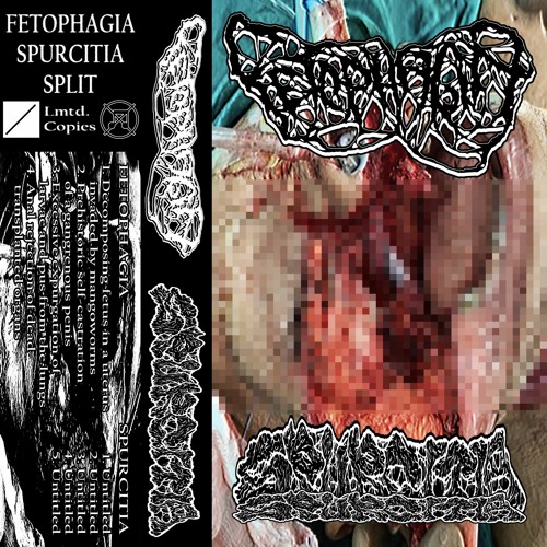 Fetophagia/Spurcitia Split (Full Split)