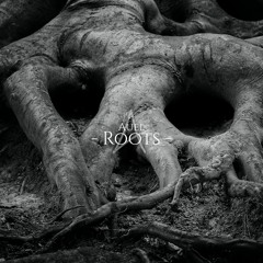 Auel - Roots
