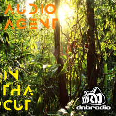 In Tha Cut 118 (DNBRadio 02-11-2024)