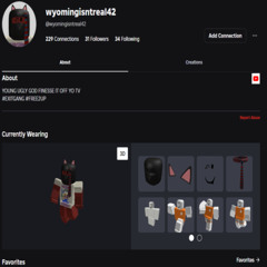 wyomingisntreal42 Roblox Audio