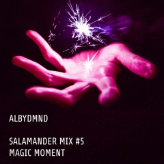 Salamander mix #5: Magic Moment