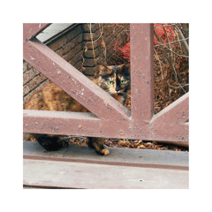 на станции метро