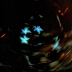Innerverse