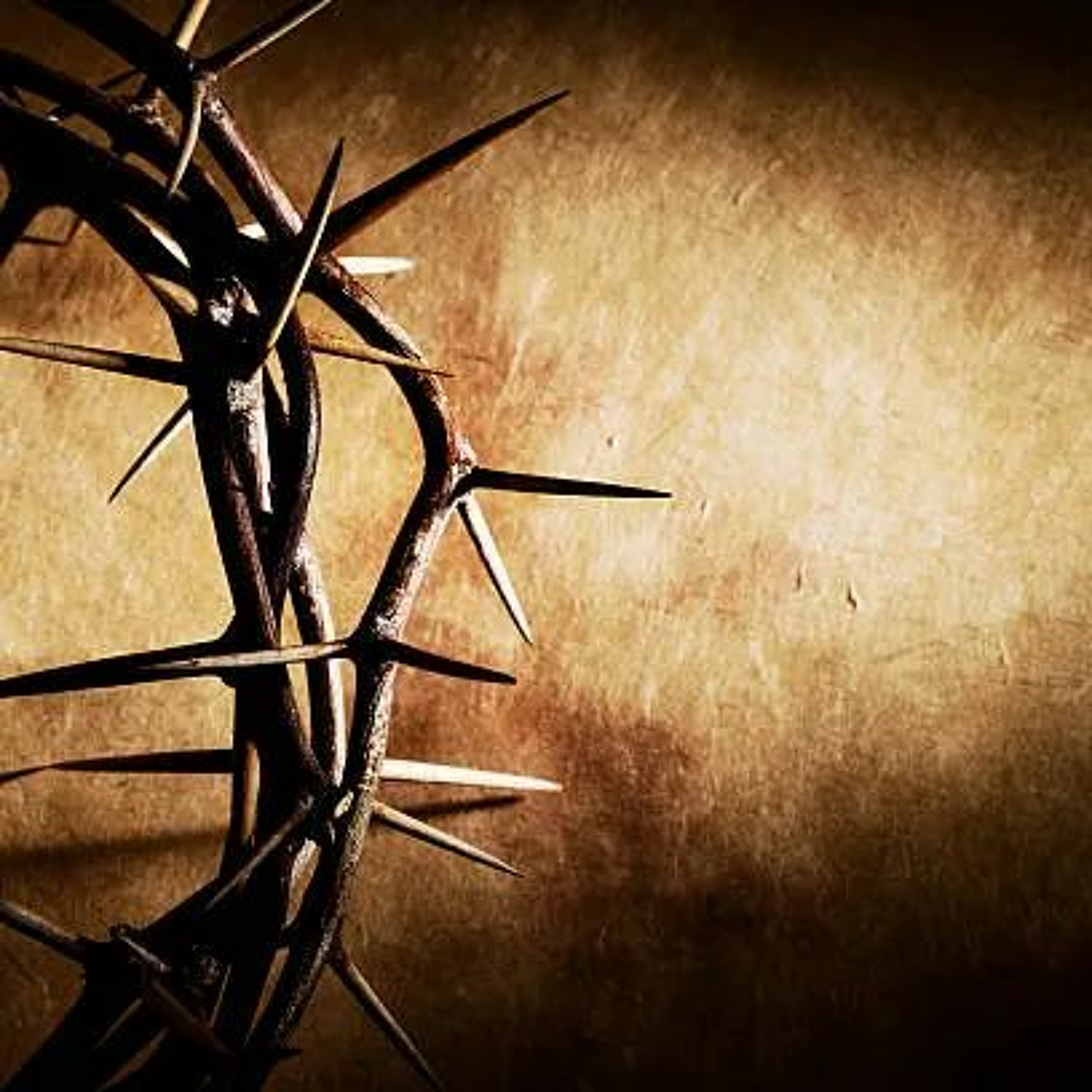 The Crown of Thorns thumbnail