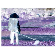 Ludacris - Ho (amgine remix)