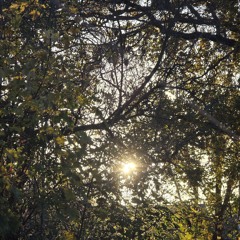 Perfect in imperfection.