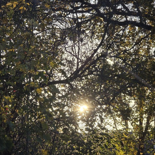 Perfect in imperfection.