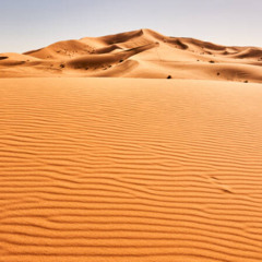 DESERT MUSIC