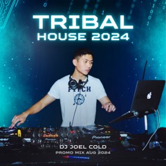 Tribal House Mainset Promo Mix 2024 By DJ Joel Cold