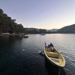 sunrise to the morning