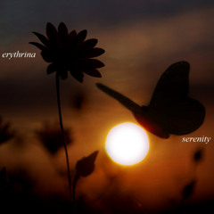 10 - Welkin Glow (End Of Day)