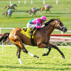 My Race Call Of The 2025 Eddie Read Stakes At Del Mar Racetrack