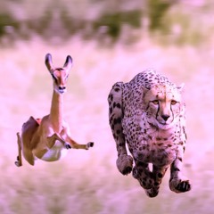 NO MORE LIES - TAME IMPALA X THUNDERCAT (RAYMOS REMIX)