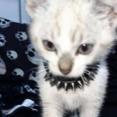 hand crushed by a mallet