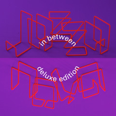 That Night (Wahoo Remix) [feat. Vikter Duplaix]