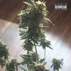 I Whip Your Head Boy -remix-