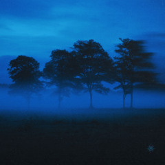 calemt - where regret sleeps