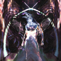 PDW S1LV3R - BURN SHIT PROD LORENZ #416