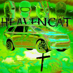 HEAVENCAT