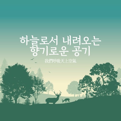 하늘로서 내려오는 향기로운 공기 我們呼吸天上空氣