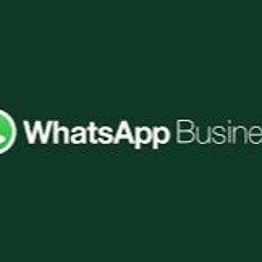 Download WhatsApp Business Plus APK and Enjoy These Amazing Features
