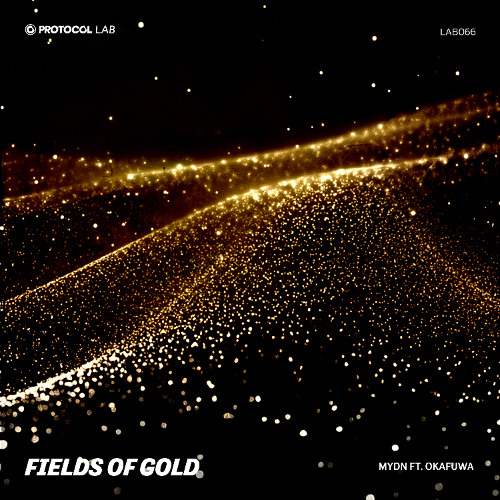 Mydn ft. okafuwa - Fields Of Gold (Extended Mix)