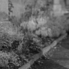 BVG - it's around here somewhere