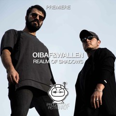PREMIERE: OIBAF&WALLEN - Realm Of Shadows (Original Mix) [Eklektisch]