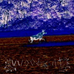 𝖵𝖵♢♢<l↯⟨ 𝗏|+ [hexD](full tape)🌲🌲🦞