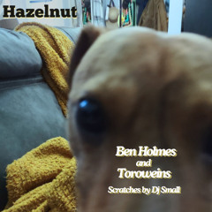 Ben Holmes & Toroweins - Hazelnut (scratch by Dj Small)