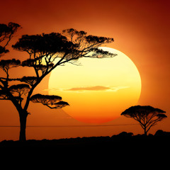 Serengeti (Instrumental)