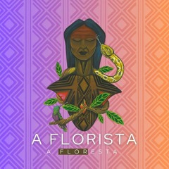 A subida do beija flor - vibra luz