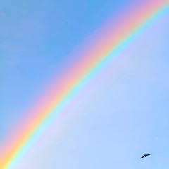 Let it rain, let it pour — We’ll dance through it all.