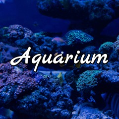Saint-Saëns - Aquarium (Kevin MacLeod Version | CC BY 3.0)