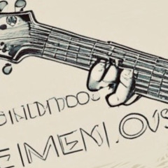 No Acoustic Song Demos